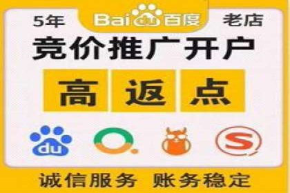 案例剖析：SEM竞价代运营助力品牌崛起
